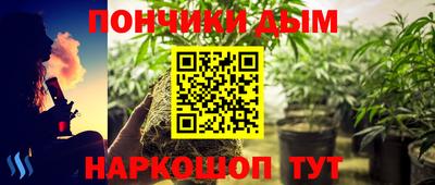 мдпв Будённовск
