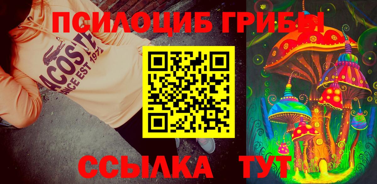 Партизанск  Галлюциногенные грибы Psilocybe  Вход с VPN  Галлюциногенные грибы ЛСД 